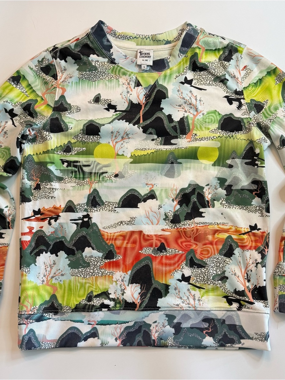 Opening Ceremony Landscape Print Sweatshirt Small Graphic Art Pullover Rare